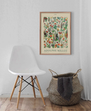 Poster Coleção Adolphe Millot Ilustrações Vintage
