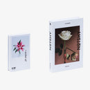 Livro Decorativo Magazine