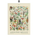 Poster Coleção Adolphe Millot Ilustrações Vintage