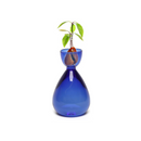 Vaso Hidropônico Abacate