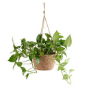 Cachepot Pendente Juta Natural