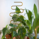 Tutor de Plantas