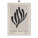 Poster Coleção Matisse Jazz Classic