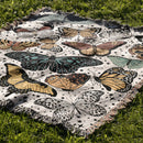 Blanket Butterflies Valley