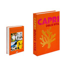 Livro Caixa Organizadora Cities