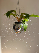 Cachepot Pendente Disco Ball