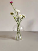 Vaso de Vidro Mushroom Transparente